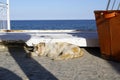 Street orange-white cat sleeping on a tile at the sea during sunset