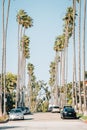 Street with palm trees in Corona del Mar, Newport Beach, California