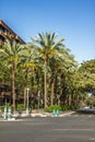 Street and Palm Trees in Valencia Royalty Free Stock Photo