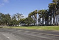 Street and palms along San Diego Coastline