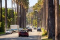 Street with palms in Beverly Hills, Los Angeles, California