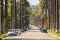 Street with palms in Beverly Hills, Los Angeles, California