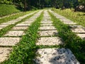 Street path paved with concrete tiles between which grass grows Royalty Free Stock Photo