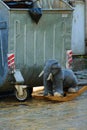 Street photography - old rocking toy for children thrown near the rubbish bins