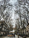 Street photography in paseo de borne Mallorca