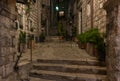 Street Plants Night Dubrovnik Royalty Free Stock Photo