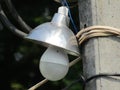 Street pole light in india