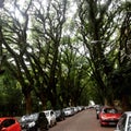 Street porto alegre city Royalty Free Stock Photo