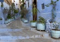 Street with potted plants in Chefchaouen, a city in northwest Morocco noted for its buildings in shades of blue.