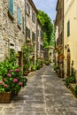 Street provincial Italy