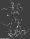 Street roads map of the CHIESANUOVA MUNICIPALITY