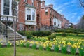 large old brick semi-detached houses Royalty Free Stock Photo