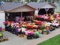 Street sale of artificial plastic flowers for Easter or Radunitsa Royalty Free Stock Photo