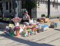 Street saleswoman of flowers