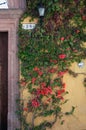 Street of San Miguel de Allende, Guanajuato, Mexico