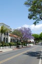 Street in Santa-Barbara, USA Royalty Free Stock Photo