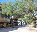 Street Scene in Downtown Bradenton at the Manatee River, Florida