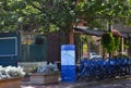 Street Scene in Downtown Eugene in Summer, Oregon Royalty Free Stock Photo