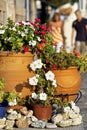 Street scene with flowering plants