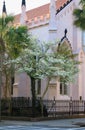 Street Scene Pink Church Charleston South Carolina Royalty Free Stock Photo