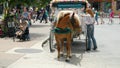 Street scene in San Antonio Texas on a sunny day