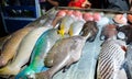 Street Sea food stall at Trawangan Night Market Royalty Free Stock Photo