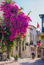 Street shot in Alacati, Turkey