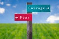 Street Sign: Path to Courage Against Fear.