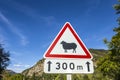 Street sign sheep warning