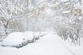 Street during snowstorm at winter in Moscow, Russia Royalty Free Stock Photo