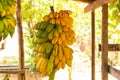 Street stall with bunches of bananas Royalty Free Stock Photo