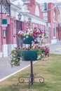 Street at sunset, decorated with a large flower bed of white, pink, purple flowers of Impatiens