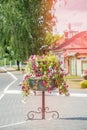 Street at sunset, decorated with a large flower bed of white, pink, purple flowers of Impatiens Royalty Free Stock Photo