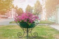 Street at sunset, decorated with a large flower bed of white, pink, purple flowers of Impatiens