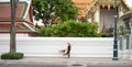 A street sweeper was at Wat pho area, Bangkok Thailand