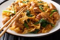 Street Thai food noodles with chicken, Chinese broccoli and egg close-up on a plate. horizontal Royalty Free Stock Photo