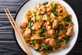 Street Thai food noodles with chicken, Chinese broccoli and egg close-up on a plate. Horizontal top view Royalty Free Stock Photo