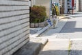 Cat on the street in Tokyo in the Setagaya district in spring