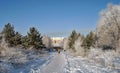 The street of the town in winter, snowy trees and a woman walks along the snowy path