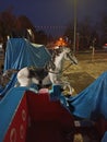 street toys covered with nylon during a rainy night, except for the horse whose blanket was blown away by the wind