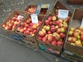 Street trade. Poverty. Third world country. Selling apples