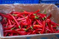 Street trading. A store that sells vegetables. Red chili peppers are in the box Royalty Free Stock Photo