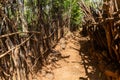 Street in a traditional Konso village, Ethiop