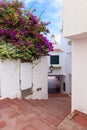 Street with traditional Spanish houses decorated with flowers