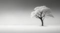 Minimalist Surrealism: Bw Tree And Trams In Delicate Landscapes