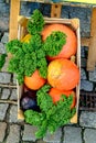 A street tray with vegetables in which is located pumpkin, cabbage and lettuce