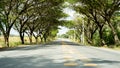 Street, tree, city, green, road, sky, landscape, travel, nature, view, outdoor, blue, park, plant, residential, background, touris