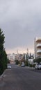 Street trees amman jordan landscape