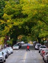 Street with trees and cars parked in a City of Boston During the Fall Season