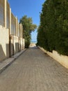 street trees fence sky blue shadow horizon Royalty Free Stock Photo